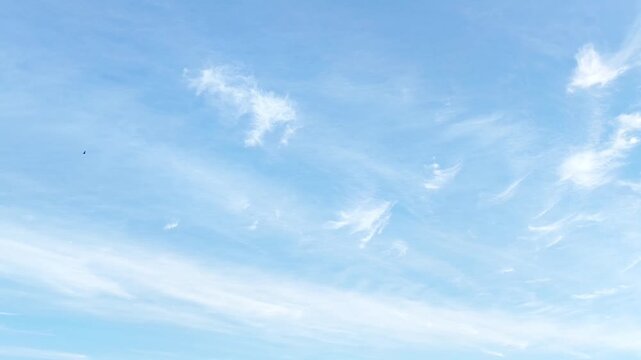 Beautiful illuminated sky with cirrus clouds