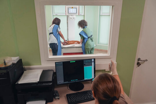 Two veterinarians wearing blue protective aprons gently position a brown Brabant Griffon, Petit Brabanon dog on an examination table.