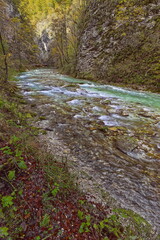 Fototapeta premium The Radovna river roaring green waters rush torrentially along the Soteska Vintgar (gorge), equipped with wood walkways and bridges. Bled-Slovenia-093