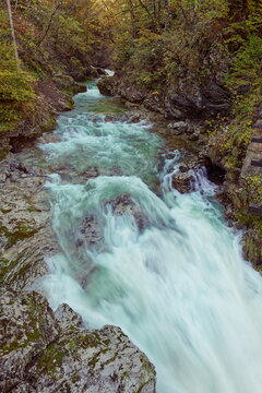 The Radovna river roaring green waters rush torrentially along the Soteska Vintgar (gorge), equipped with wood walkways and bridges. Bled-Slovenia-098