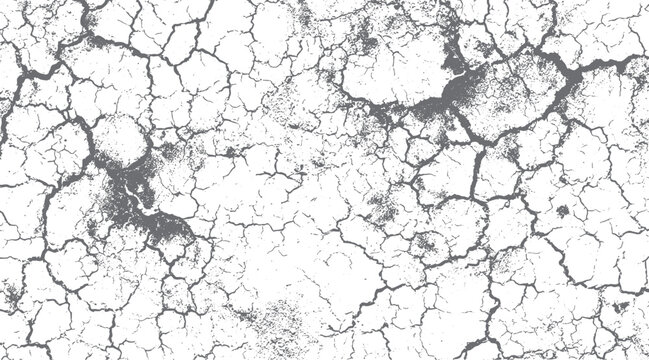 Abstract cracked earth texture with dark grey lines and speckles on white background
