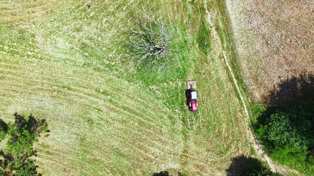 A tractor cuts grass in a wide field during the day. The area is open with a large dead tree standing nearby. The ground shows signs of recent mowing and field activity.