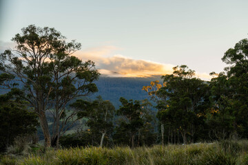 Fototapeta premium Golden Hour Clouds and Mist Over Mountain Forest with Australian Eucalyptus Trees in winter