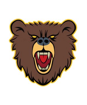 bear head mascot