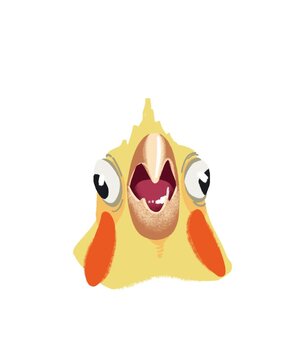 duck with a smile