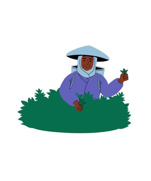 The woman is in the garden picking fruit