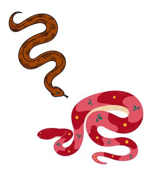 the two most venomous snakes