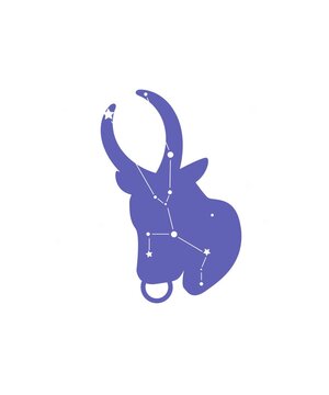 the constellation Taurus