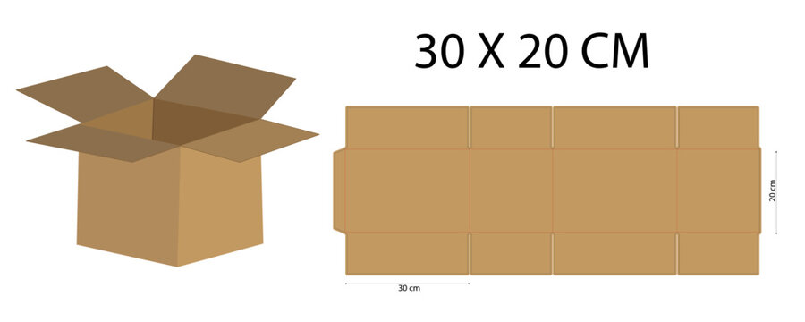 Corrugated Carton Box Packaging Design Template, Editable Die Cut Dieline Vector with Open Cardboard Box Mockup for Shipping and Retail Packaging 30x20 cm