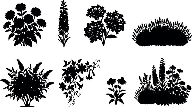 Black flower silhouettes collection with garden plants and floral elements isolated on a white background