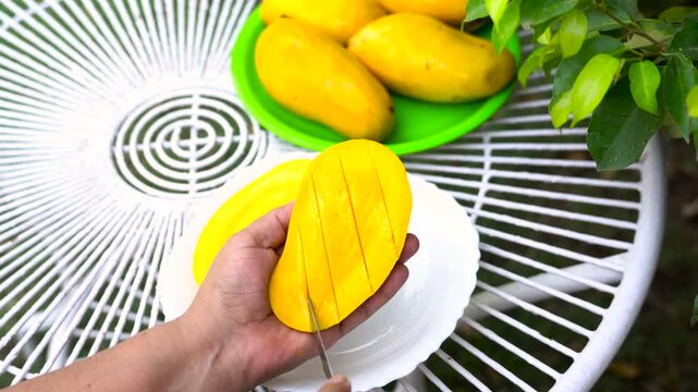 Person carefully slicing fresh mango with kitchen knife close up of hands a fresh ripe yellow on a plate, focusing