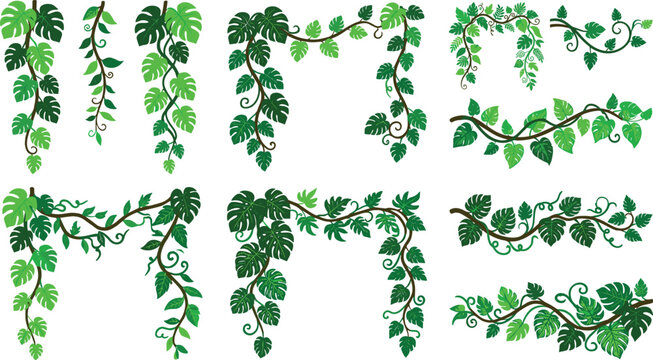 Decorative vine border frames with green leaves twisting stems botanical nature vector illustration artwork