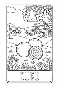 Duku fruit coloring page for kids alphabet learning series, black and white line art illustration