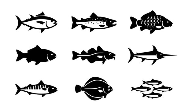Seafood Fish Icon Set Featuring Marine Fish Symbols Ocean Catch and Fresh Seafood Illustration Vector Design