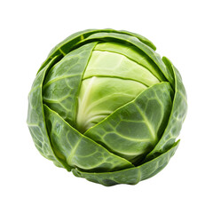 Fototapeta premium Fresh head of green cabbage isolated on transparent backdrop.