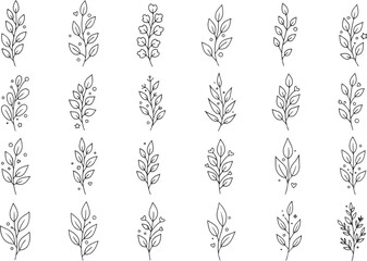 Fototapeta premium A collection of hand-drawn botanical leaf and branch illustrations in a minimalist sketch style.