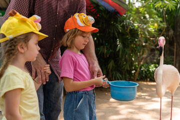 Children feeding a flamingo at a zoo, wearing colorful hats. © Rawpixel.com