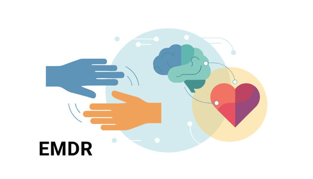 EMDR therapy concept illustrating connection between brain and heart for emotional trauma healing.