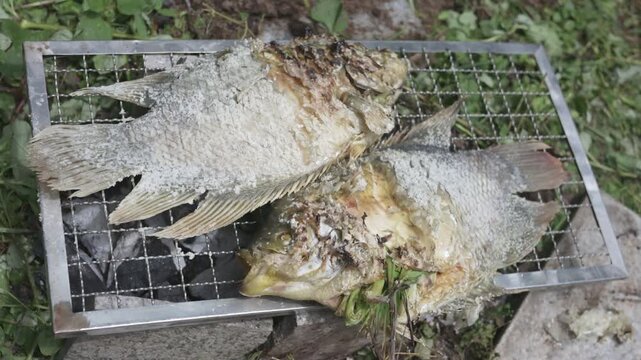 4K Dolly-in with camera roll fish grilling in the rural style