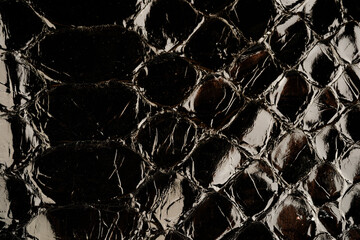 Dark exotic reptile leather texture with glossy python scales for luxury fashion background © reddish