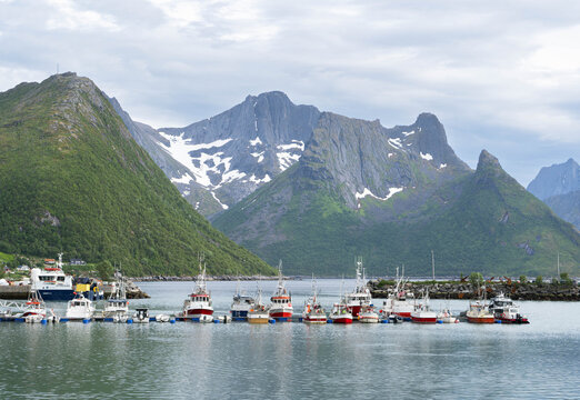 Traditional fishing boats moored in harbor of Husoy island Senja Norway
