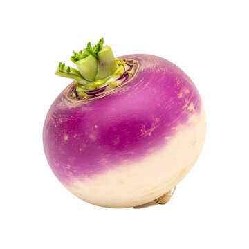 Fresh whole turnip vegetable isolated on transparent background.
