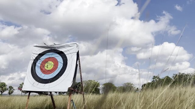 Archery target with multiple arrows hits the bullseye in a grassy field under a dramatic cloudy sky, business success concept background