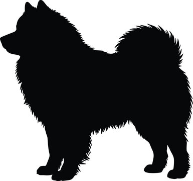 Samoyed Dog Standing Side View Silhouette Vector Illustration for Pet Industry Logo Animal Care Branding and Canine Breed Graphics