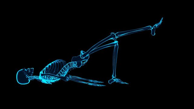 Osteology Bone Map Glute Bridge Rehabilitation Sagittal Profile Orientation Sci-Fi HUD Diagnostic Display