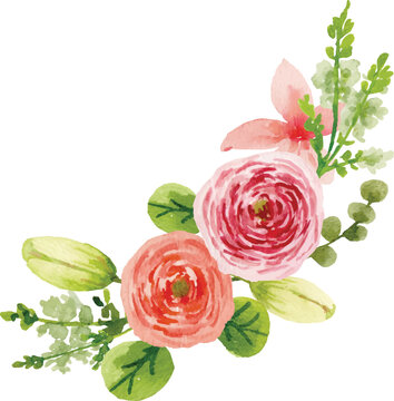 watercolor pink ranunculus with casablanca lilly buds arrangement bouquet illustration