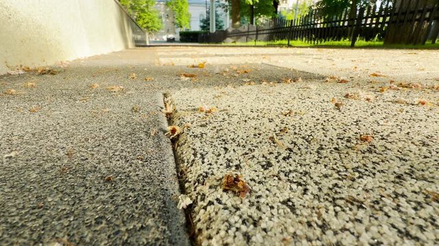 Dry tree blossoms rustle lightly across the textured stone pavement as a gentle morning breeze sweeps through the park. In the background, low rumble of city traffic creates a steady urban hum.