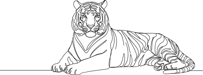 Tiger Line Art Illustration - Majestic Feline Lying Down © Dario