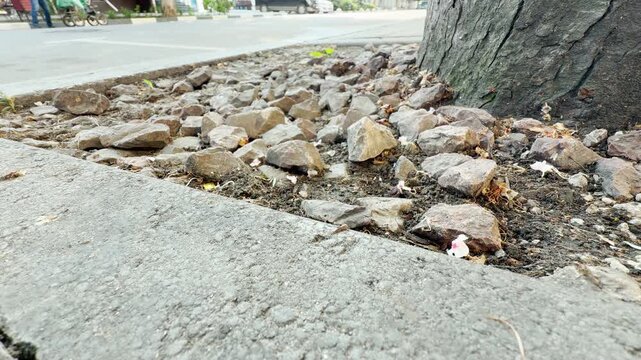 A patch of jagged gray stones spreads out across the soil near a large tree. The textured curb frames the dirt bed along the pavement. Distant traffic creates a continuous, low city hum.