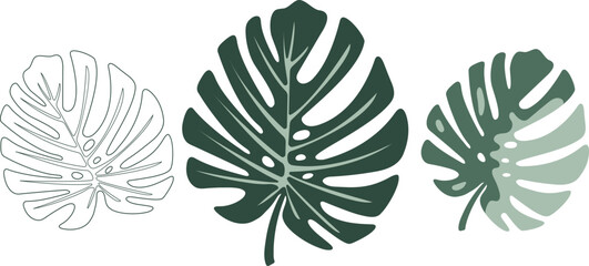 Monstera leaves vector set. Tropical deliciosa leaf outline, solid green, and variegated split-leaf philodendron icons. Exotic jungle foliage clipart for summer design, wedding decor, patterns, prints © OLA