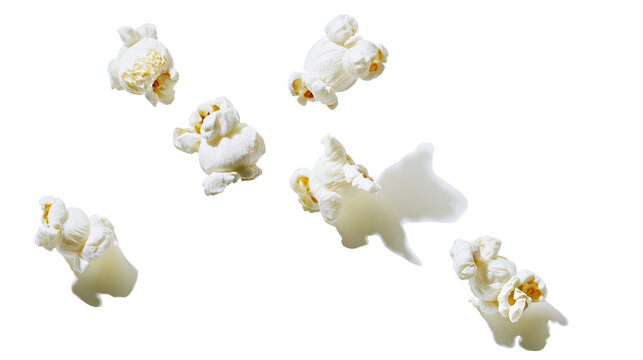 Several fluffy popcorn kernels scattered in mid-air, isolated on transparent background