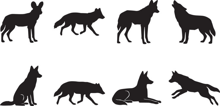 Wolf and wild canine full body silhouette set showing howling running sitting and standing postures vector illustration