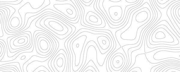 Topographic map contour lines pattern, thin grey wavy lines on a white background, abstract geographic elevation landscape texture © VxGFX
