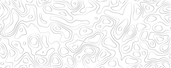 Topographic map contour lines, abstract pattern of thin grey wavy lines on a white background, seamless geographic elevation texture for cartography and © VxGFX