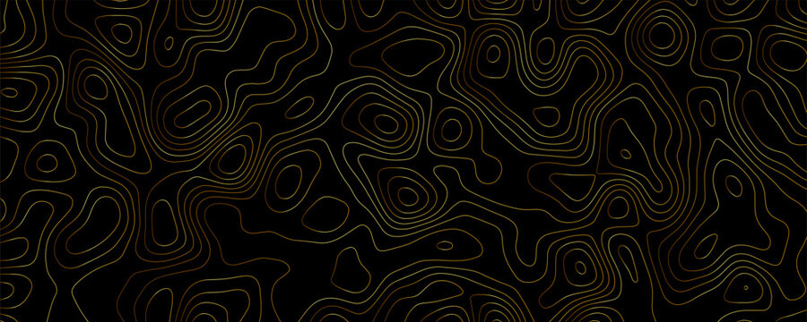 Topographic map pattern with thin, flowing gold contour lines on a solid black background, creating an abstract, layered, and rhythmic linear texture