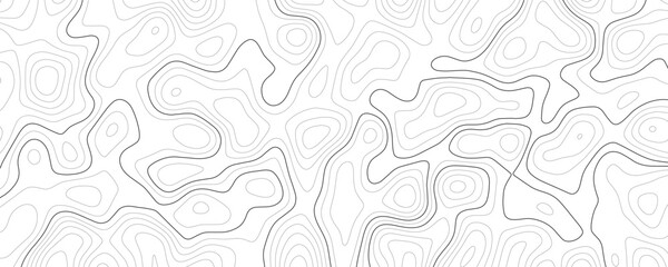 Fototapeta premium Topographic map contour lines pattern, abstract grey wavy lines on a white background, cartographic elevation terrain texture, geometric linear flow, seamless style