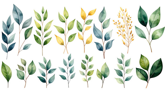 Collection of watercolor botanical elements, leaves and branches, in assorted green and gold tones, isolated on white