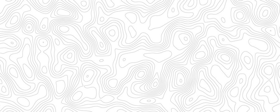 Topographic map contour lines pattern, abstract grey wavy lines on white background, elevation
