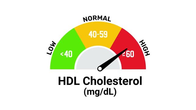 Hdl cholesterol diagnostic gauge showing laboratory results for good cholesterol levels health medical meter lab test health medical meter lab test