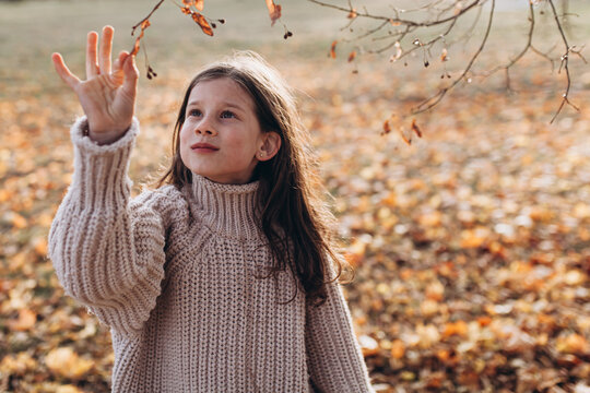 Beautiful young girl wearing cozy knitted sweater reaching out to touch autumn leaves in park. Childhood wonder, beauty of changing seasons, peaceful atmosphere, moment of connection with nature.