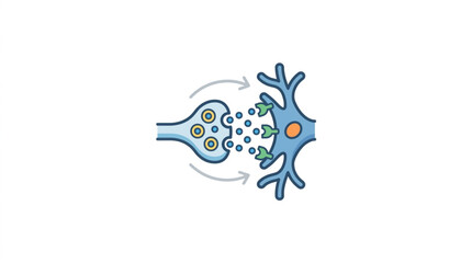 Fototapeta premium Synapse transmission illustration showing neurotransmitter release and receptor binding.