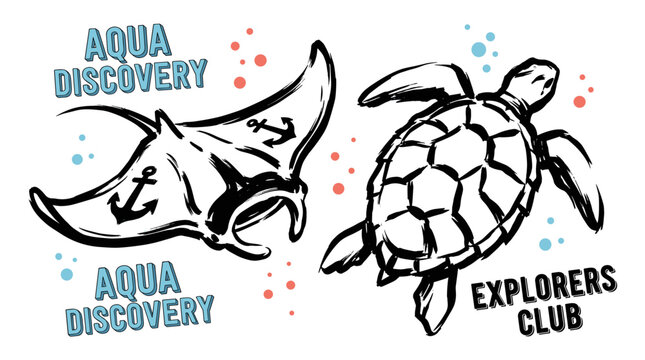 Aqua discovery stingray design. Sea turtle explorer club. Vintage marine life artwork.. Marine exp