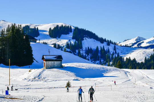 Skifahrer und Langl&auml;ufer im Skigebiet am Jaunpass bei strahlendem Sonnenschein, Schweiz