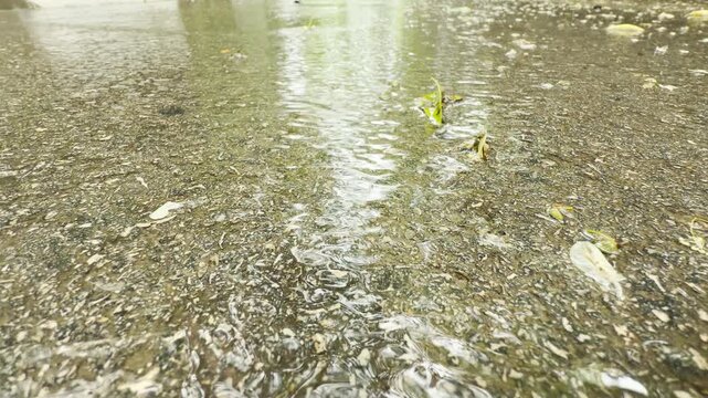 heavy rainwater flows down a concrete street gutter. The moving liquid creates a steady rushing and splashing sound.