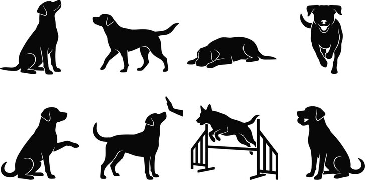 Dog Silhouette Collection Set with Sitting Running Training and Playing Poses