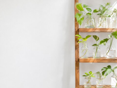 Indoor plant propagation shelf with glass jars and bright copy space